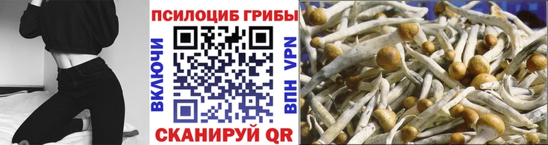 Галлюциногенные грибы ЛСД  Дербент 