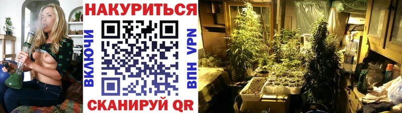 Шишки марихуана марихуана  Дербент 